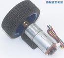 25Dx58L 12V Gear Motor with Magnetic Encoder, 22 rpm