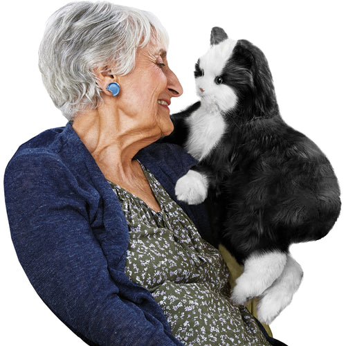 Chat Robot Interactif Noir et Blanc Ageless Innovations