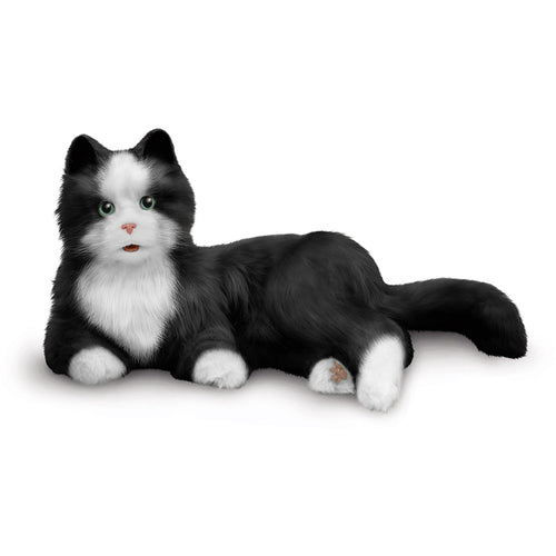 Chat Robot Interactif Noir et Blanc Ageless Innovations