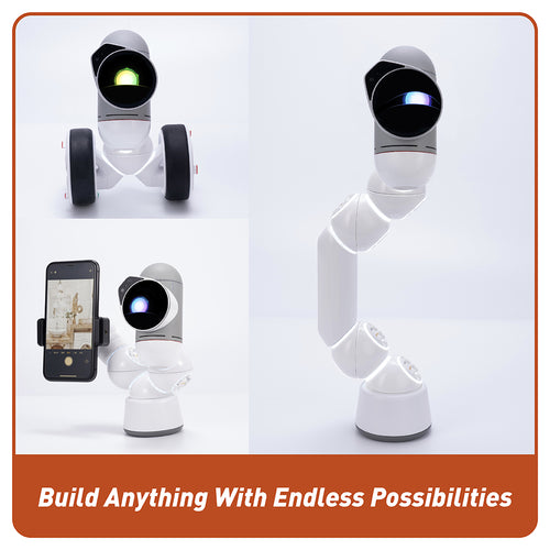 Kit de Inicio del Robot STEM Codificador Clicbot