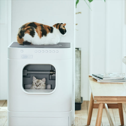 Litière Automatique LavvieBot S (Reconditionnée)