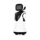 Robot de Téléprésence PadBot P3