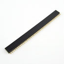 Headers Hembra (1 x 40)