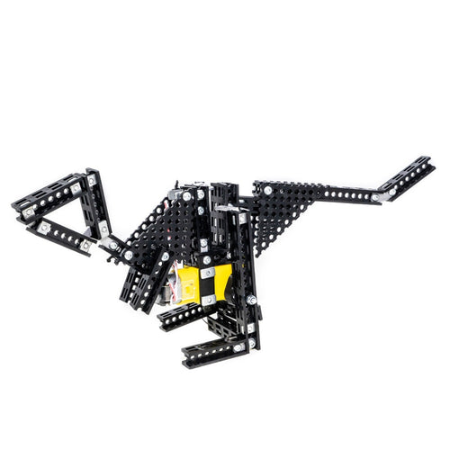 Young engineer KIT: T-Rex